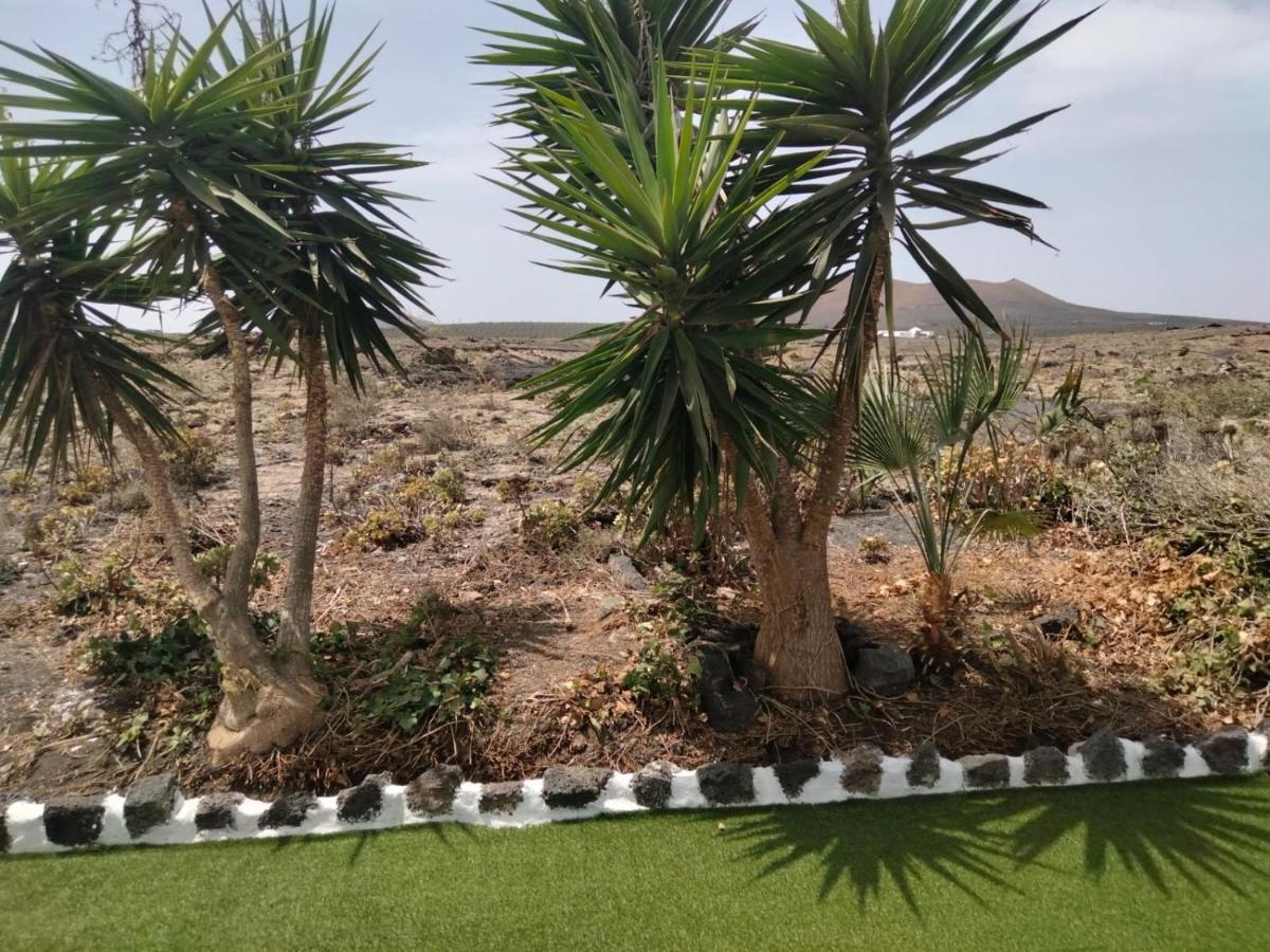 Lanzarote Casa Volcanica-Anclada Sobre La Lava Del Volcan Montana Blanca Экстерьер фото