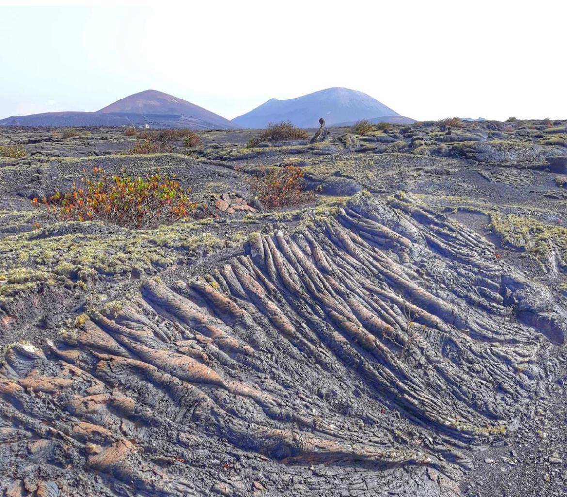 Lanzarote Casa Volcanica-Anclada Sobre La Lava Del Volcan Montana Blanca Экстерьер фото
