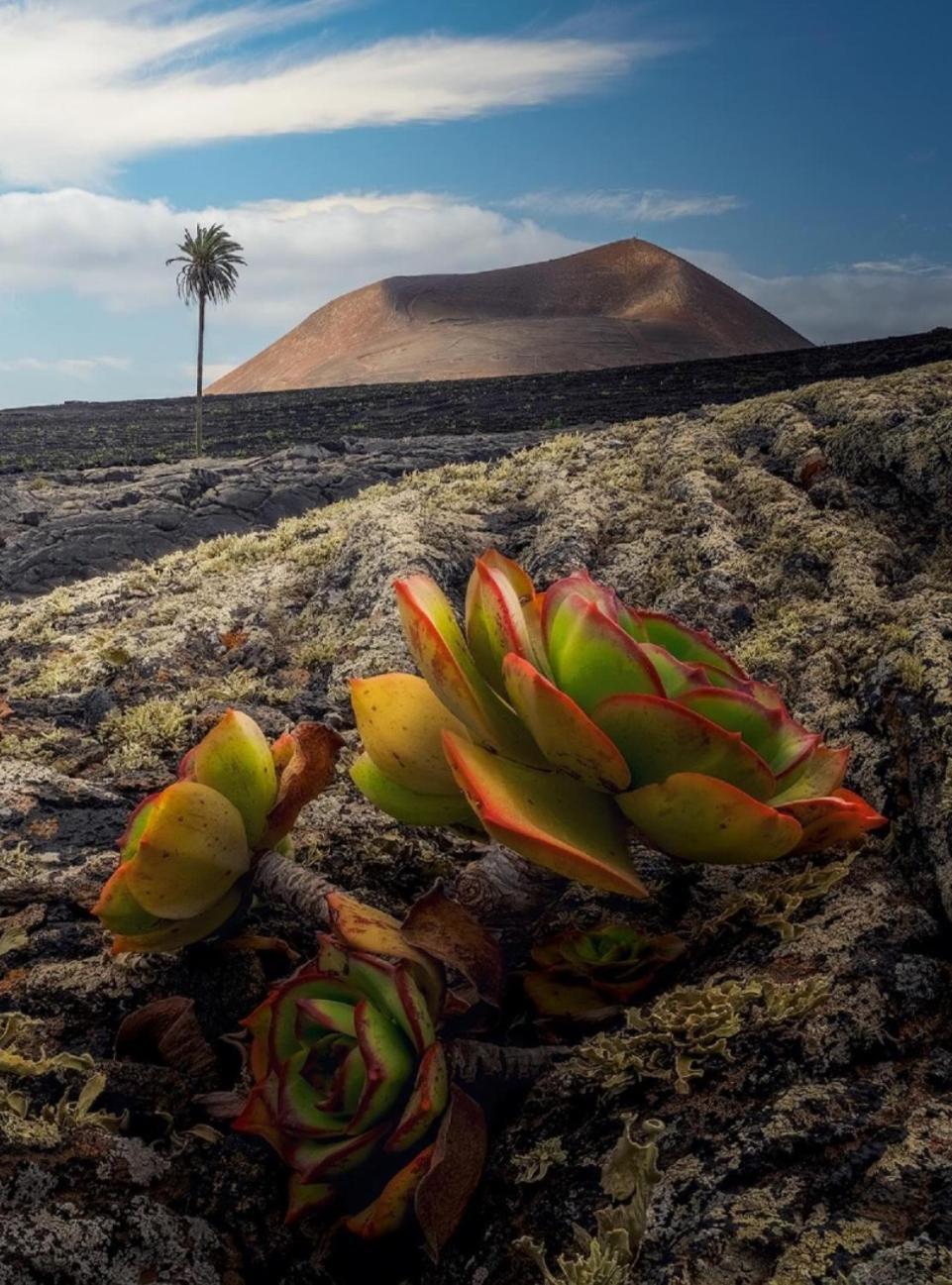 Lanzarote Casa Volcanica-Anclada Sobre La Lava Del Volcan Montana Blanca Экстерьер фото